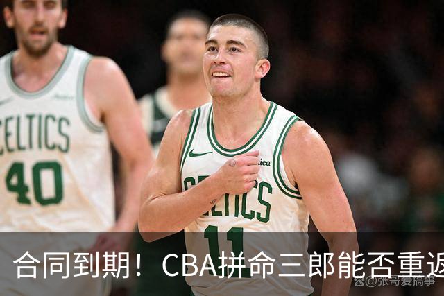 合同到期！CBA拼命三郎能否重返广东？期待辅佐徐杰、胡明轩
