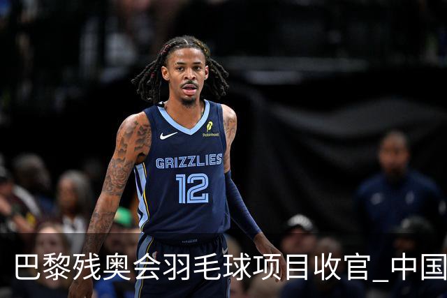 巴黎残奥会羽毛球项目收官 中国队斩获9金2银1铜